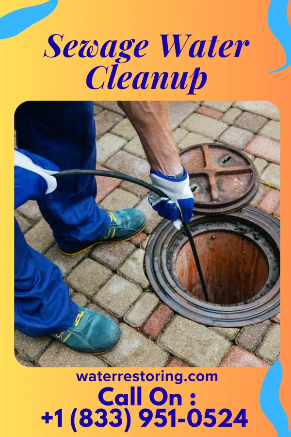Sewage Water Cleanup in Pelahatchie, MS